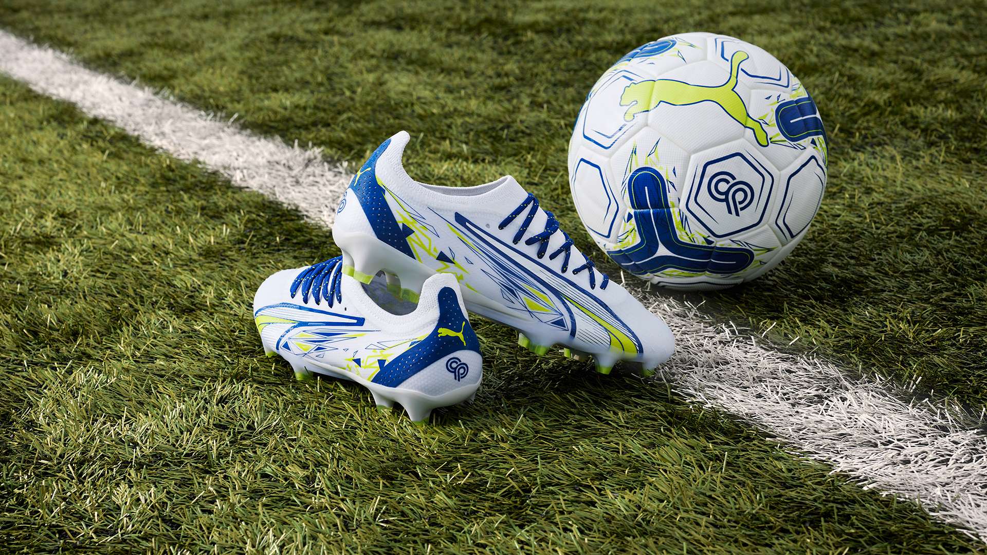 员进行接触 员进行接触